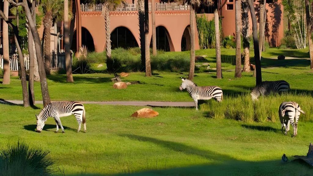 Disney'S Animal Kingdom Lodge Four Corners Exteriör bild